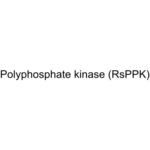 Polyphosphate kinase (RsPPK) 9026-44-2